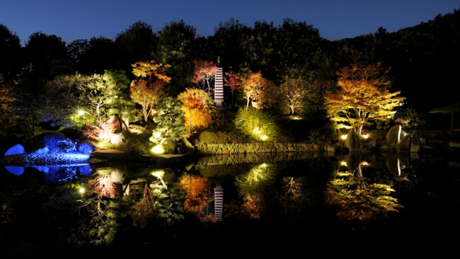 今年の秋はどんな色？恒例の豊島区立目白庭園「秋の庭園ライトアップ」期間限定で開催